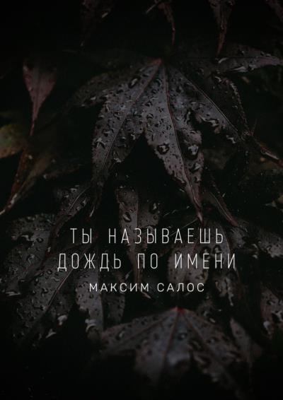 Книга Ты называешь дождь по имени (Максим Салос)